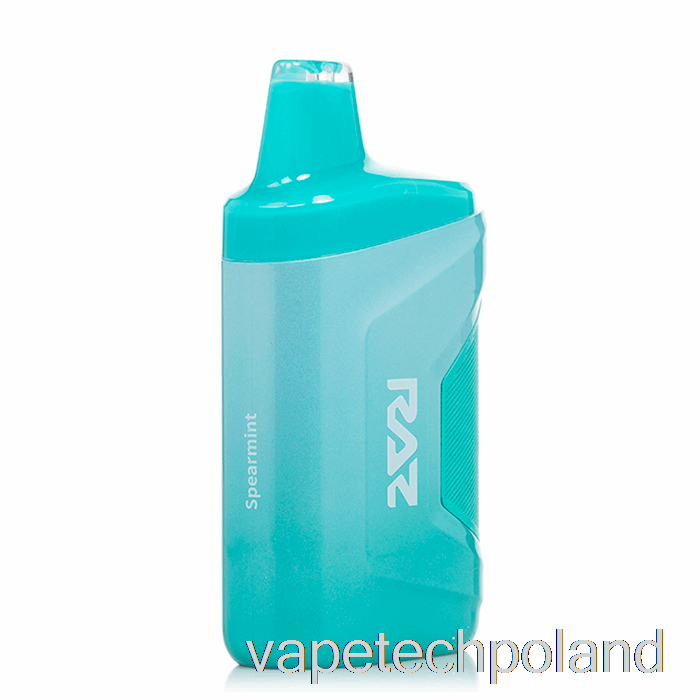 Vape Pen Raz Ca6000 6000 Jednorazowego Użytku Mięty Zielonej